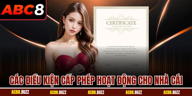 Các điều kiện cấp phép hoạt động cho nhà cái