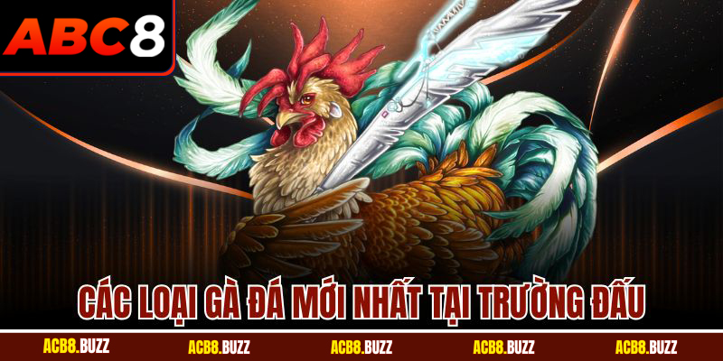 Các loại gà đá mới nhất tại trường đấu