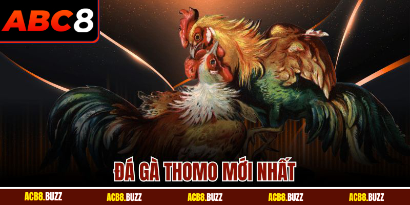 Đá Gà Thomo Mới Nhất - Trận Đấu Đỉnh Cao Cùng ABC8