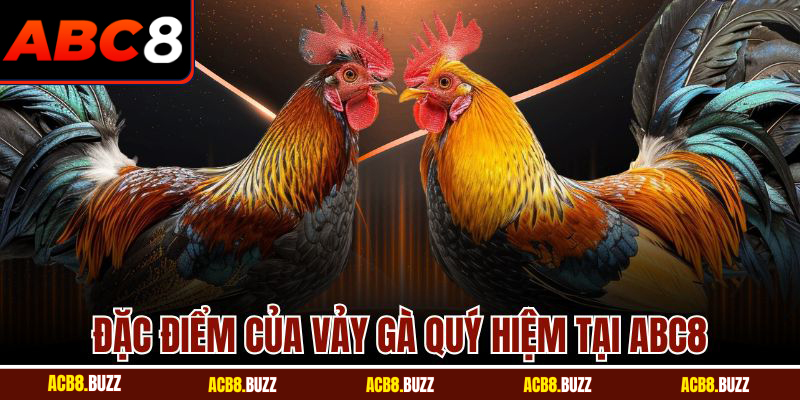 Đặc điểm của vảy gà quý hiệm tại ABC8