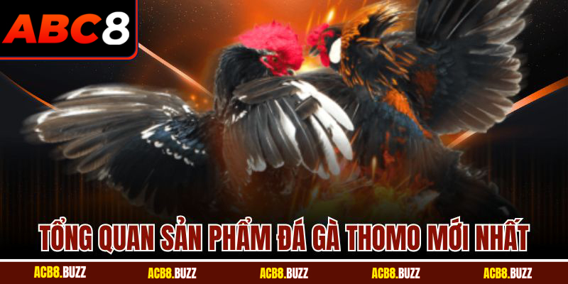 Tổng quan sản phẩm đá gà thomo mới nhất